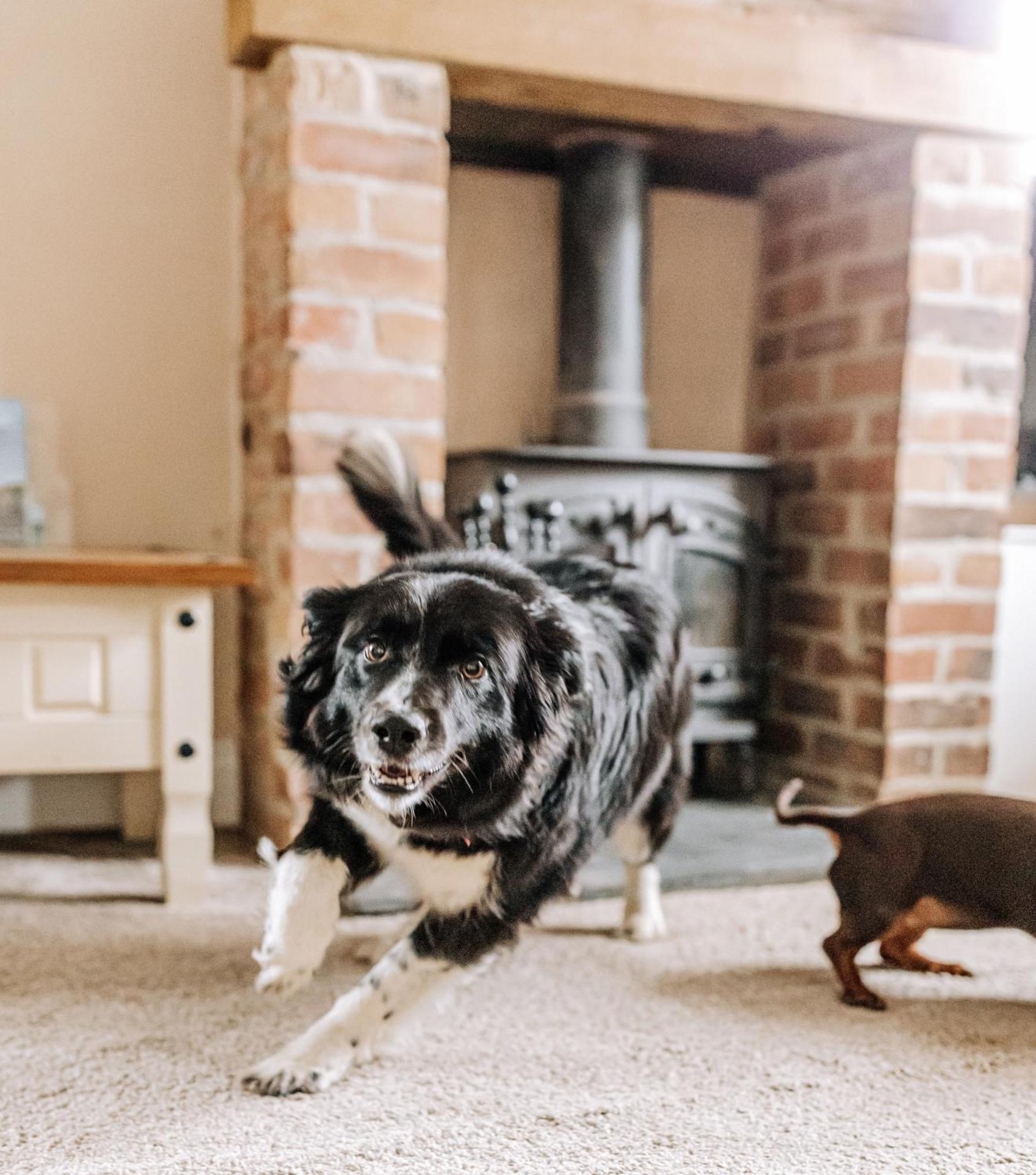 New Thirsk Stays - Herriot'S Hideaway エクステリア 写真